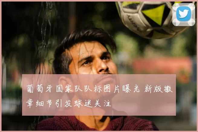 葡萄牙国家队队标图片曝光 新版徽章细节引发球迷关注