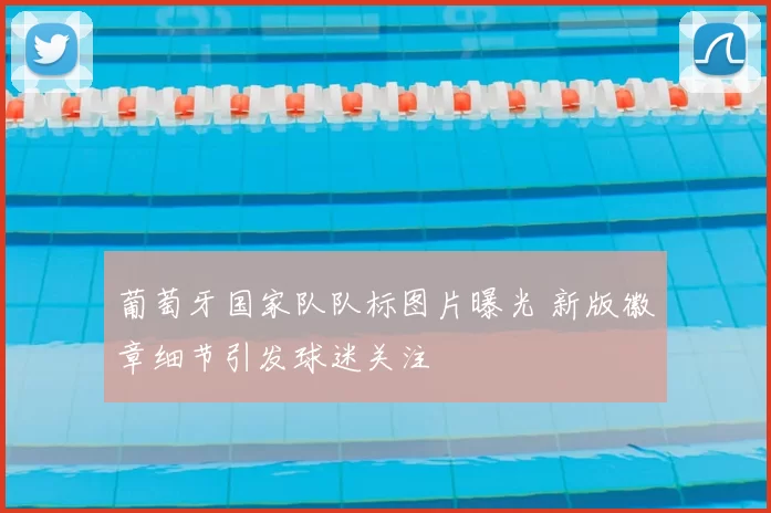 葡萄牙国家队队标图片曝光 新版徽章细节引发球迷关注